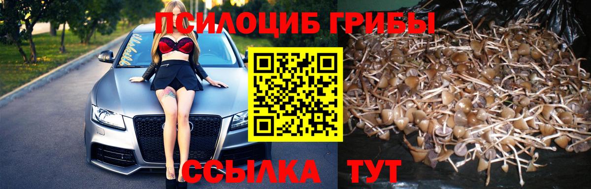 Галлюциногенные грибы Cubensis  Вход с VPN  Подольск 